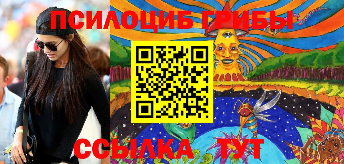 Галлюциногенные грибы Psilocybine cubensis Шали